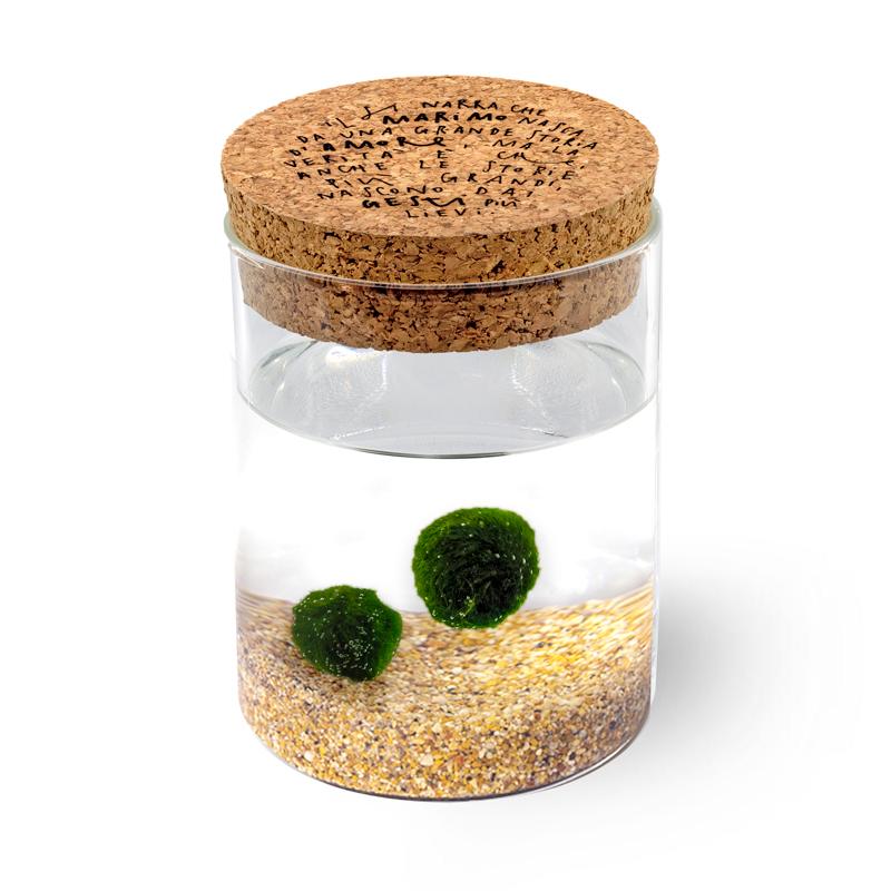 Marimo Original - Leggenda | Coppia