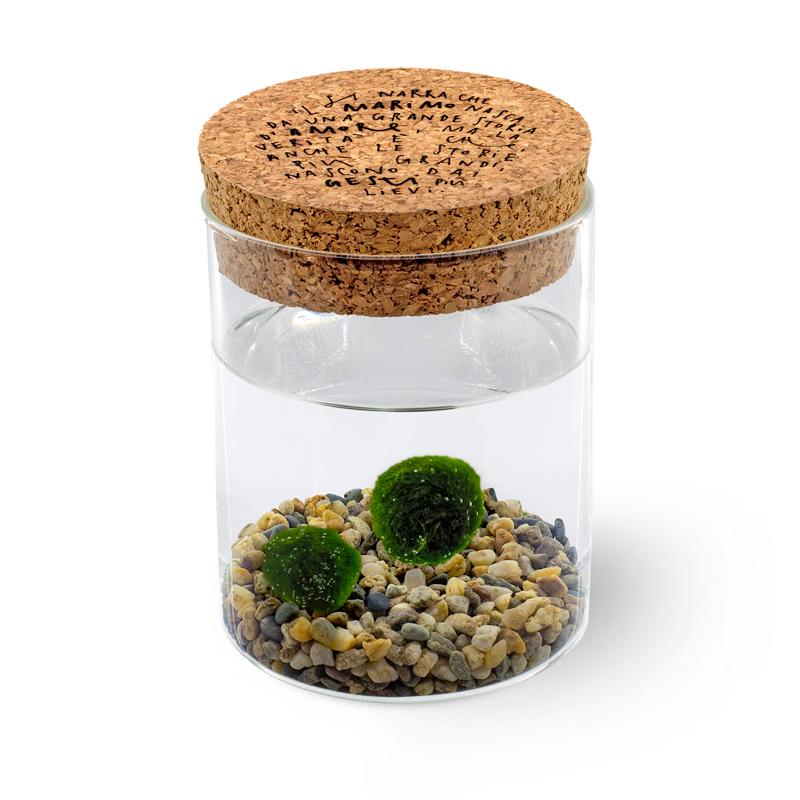 Marimo Original - Leggenda | Coppia