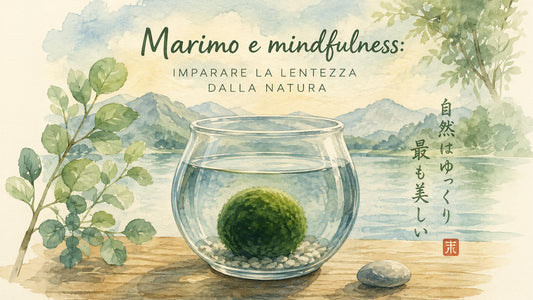 Marimo e mindfulness: imparare la lentezza dalla natura