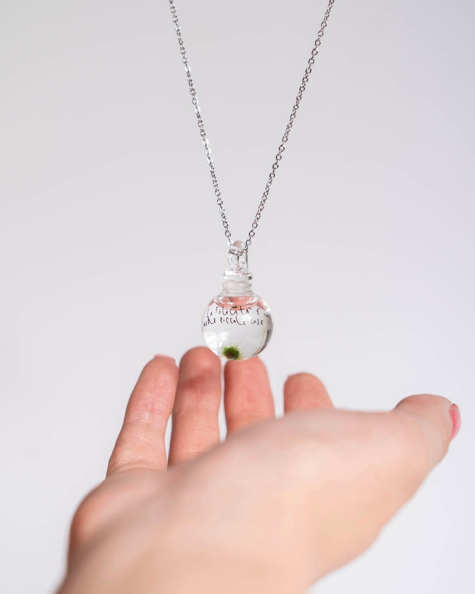 Collana con Marimo