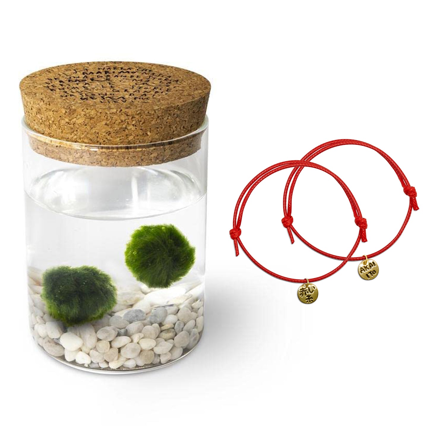 Marimo Original Leggenda & Filo Rosso del Destino Bundle Set