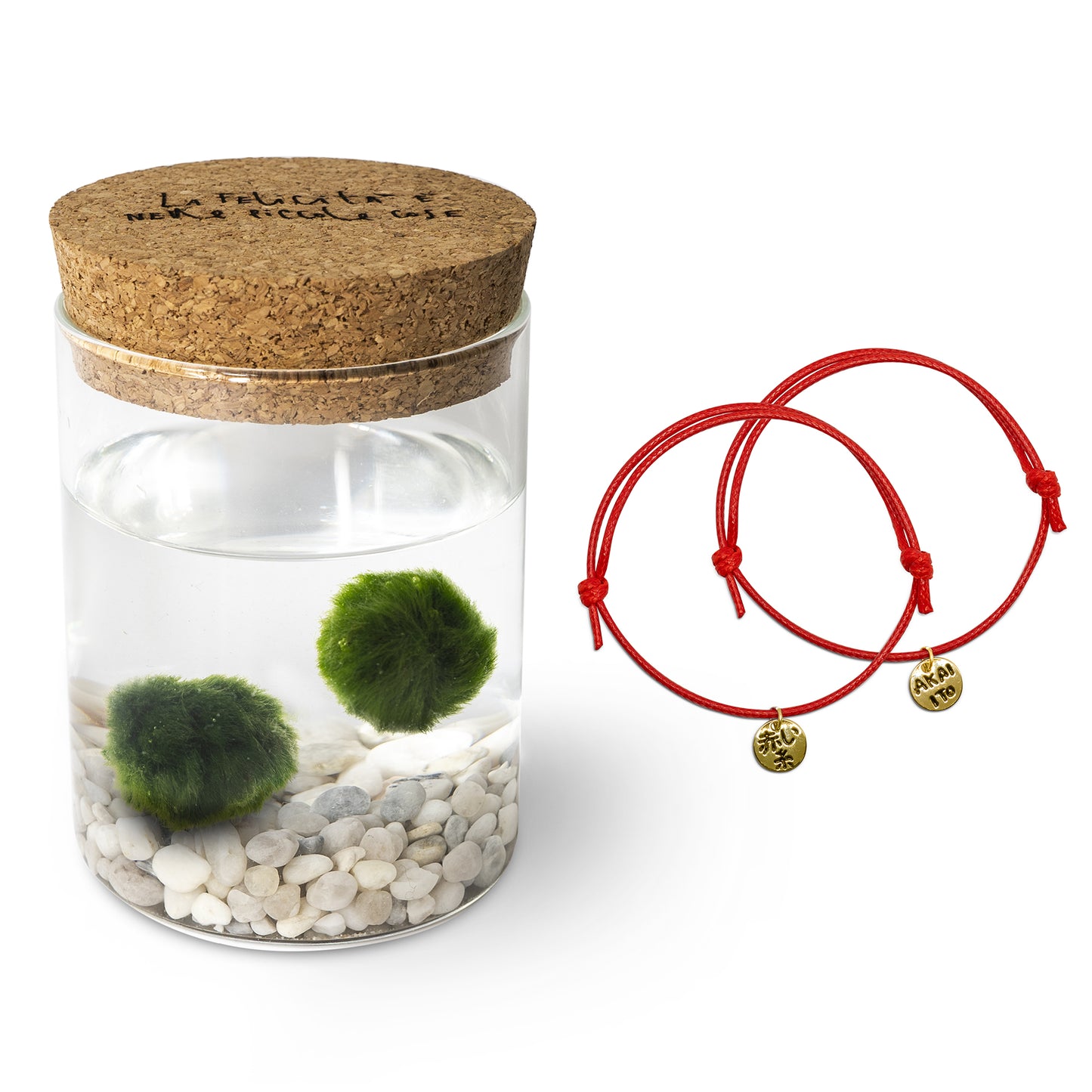 Marimo Original Felicità & Filo Rosso del Destino Bundle Set