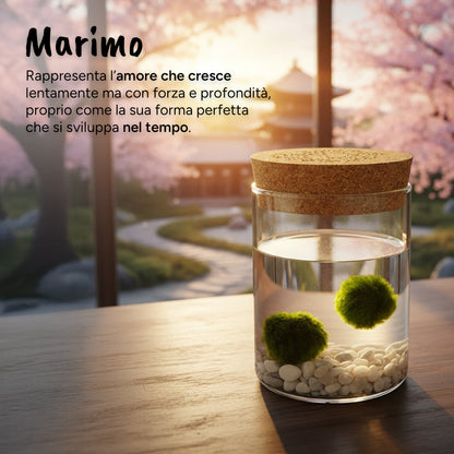 Marimo Original Felicità & Filo Rosso del Destino Bundle Set